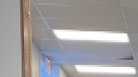 El grupo de la despensa de alimentos de Pilsen espera recaudar $75,000 para cubrir los costos de las renovaciones de su nuevo edificio. Foto extraída GoFundme Pilsen Food Pantry