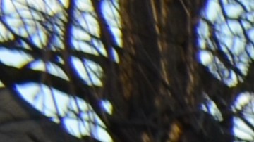 Vecinos y activistas repudiaron el asesinato del menor Adam Toledo en abril de 2021 en el barrio de La Villita. (Belhú Sanabria / La Raza)