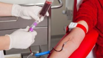 Estudiantes de la escuela secundaria y menores de 18 años también pueden donar sangre, pero deben cumplir con ciertos requisitos de altura y peso.