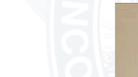 Eli Rivera, de 15 años, fue visto por última vez el 9 de abril en el barrio de West Lawn. Foto Departamento de Policía de Chicago