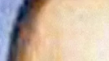 Los hermanos gemelos Margarito y Pedro (Der.) Flores.  Foto  captura ABC7 Chicago.