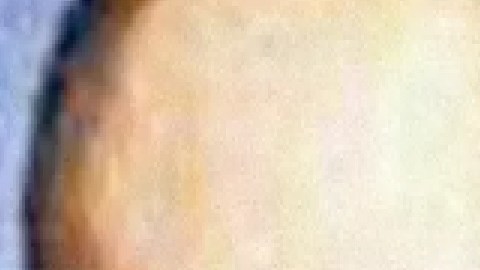 Los hermanos gemelos Margarito y Pedro (Der.) Flores.  Foto  captura ABC7 Chicago.