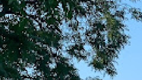 El Harrison Park es uno de los parques más utilizados para actividades de entretenimiento por los residentes de Pilsen. Foto Google Maps