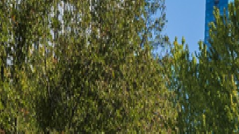 Los martes a partir del 11 de julio, Millennium Park presentará películas de verano, entre otras actividades de entretenimiento. Página web ciudad de Chicago