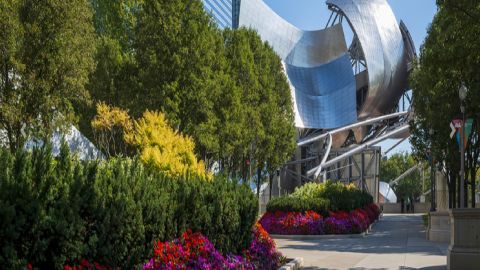 Los martes a partir del 11 de julio, Millennium Park presentará películas de verano, entre otras actividades de entretenimiento. Página web ciudad de Chicago