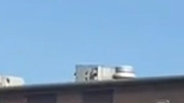 Honran al bombero de Chicago Jan Tchoryk fallecido en el cumplimiento del deber. Foto cortesía Chicago Fire Media