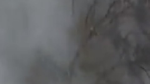 Hasta ahora se desconoce lo que provocó el incendio en la Iglesia Bautista Christian Hope. Foto Departamento de Bomberos de Kankakee