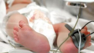Una cuarta parte de los bebés que nacen en el Hopistal Stroger requieren atención en la NICU.