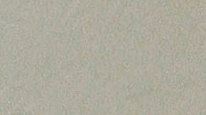 Una persona de la tercera edad recibe una vacuna.