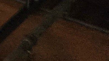 Al menos 34,000 inmigrantes han sido enviados de la frontera sur a Chicago desde agosto de 2022 hasta ahora.