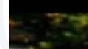 Lisbet Antúnez, de 46 años, desaparecida a principios de mayo en Back of the Yards. Foto Departamento de Policía de Chicago