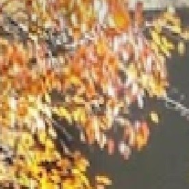 El Brands Park ubicado en el barrio de Avondale fue el anfitrión de dos programas extracurriculares. Foto Google Maps