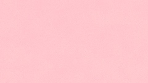 La identidad de género es diversa.