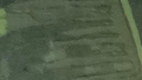 ‘Perro Xoloitzcuintle’ es una de las esculturas de arte huichol del artista César Menchaca que engalanan Navy Pier durante la Semana de México en Chicago 2023. (Belhú Sanabria / La Raza)