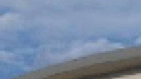 La tienda Save a Lot en Woodlawn cerró de manera repentina. Foto Google Maps