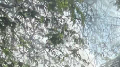 Las dos casas se ubican en la cuadra 12000 S. Lafayette Ave. en el vecindario de West Pullman al sur de Chicago. Foto CFD