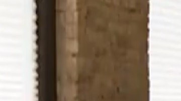 Elk Grove Village introduce ordenanza para restringir estancia de inmigrantes recién llegados.