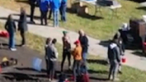 Los lotes llenos de tulipanes son parte de los más de 260 acres de terreno baldío al sureste. Foto captura video ‘Redefining Redlining’