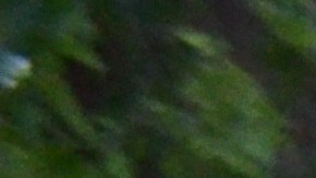 Patricia Sánchez vende antojitos mexicanos en el Riis Park en el barrio de Belmont Cragin. (Belhú Sanabria / La Raza)