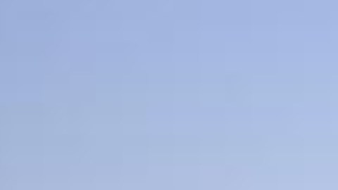 La víctima fue declarada muerta en la escena, según indicaron las autoridades. Distrito de Parques de Chicago