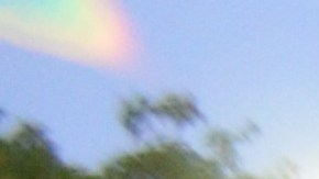 Se estima que al menos 738 migrantes en total serán reubicados.