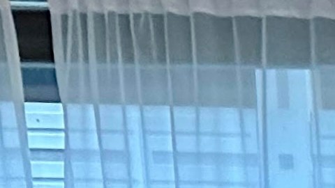 Los ganadores en 2023 del premio ‘Líderes para un Nuevo Chicago’ de la Fundación Field. (Cortesía Fundación Field)