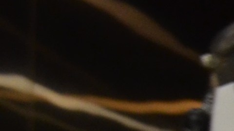 Roma Díaz, cocinero de un restaurante de Chicago, dice que $15.80 la hora no es suficiente para cubrir los gastos básicos como transporte, comida y vivienda. (Belhú Sanabria / La Raza)