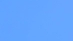 Trabajadores inmigrantes de la compañía de productos de limpieza Kik Consumer Products denuncian despidos injustos y piden compensación laboral de su expatrón. (Cortesía Centro de Trabajadores Unidos)