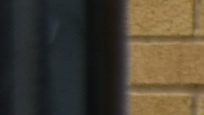 Votantes mexicanos afuera del Consulado General de México en Chicago el domingo 4 de junio durante las elecciones para las gubernaturas de Edomex y Coahuila. (Belhú Sanabria / La Raza)