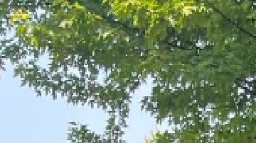 Defensores de los derechos de los inmigrantes alzan su voz en Chicago contra la medida antiinmigrante del gobernador de Florida Ron DeSantis. Foto Familia Latina Unida