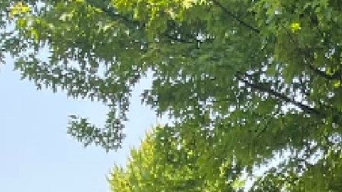 Defensores de los derechos de los inmigrantes alzan su voz en Chicago contra la medida antiinmigrante del gobernador de Florida Ron DeSantis. Foto Familia Latina Unida