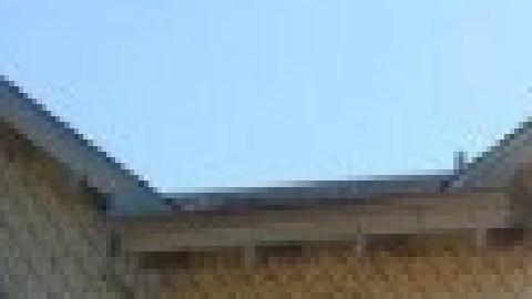 La casa de campo de Gage Park.