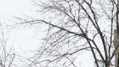 La casa Seth Warner fue nombrada hito de la ciudad de Chicago en 2022. Foto Wikipedia