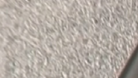 Parents for Chicago, es una línea gratuita de comunicación por mensajes de texto y correo electrónico. Foto captura NBC5  Chicago