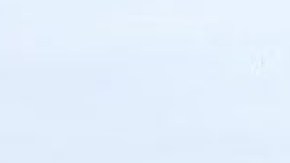 Se espera que 50 vendedores ofrezcan sus productos el sábado por la mañana en el mercado de agricultores de Aurora. Foto extraída de Facebook Aurora Farmers Market