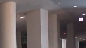 Los graduados brindarán apoyo a algunos de los vecindarios de mayor riesgo de la ciudad a fin de prevenir la violencia. Foto captura Fox 32 Chicago