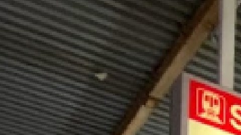 La mujer fue declarada muerta en la escena, según las autoridades.