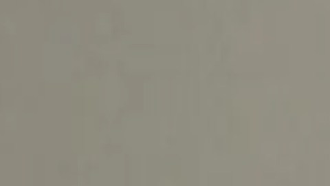 Presentan cargos contra Patrick Wilson, de 25 años, por golpear con un arma de fuego a una mujer en el barrio de Austin de Chicago. Foto Departamento de Policía de Chicago