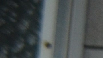 Reconocen liderazgo de activista pro inmigrante Carlos Arango.