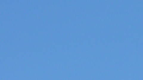 Trabajadores de El Milagro, funcionarios electos y miembros de Arise Chicago celebran el acuerdo logrado frente a la fábrica de tortillas en La Villita. (Cortesía Shelly Ruzicka / Arise Chicago)