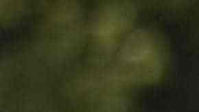 Go-Karts eléctricos construidos y conducidos por mujeres jóvenes de Chicago compiten en el EV Rally de ComEd. (Cortesía ComEd)