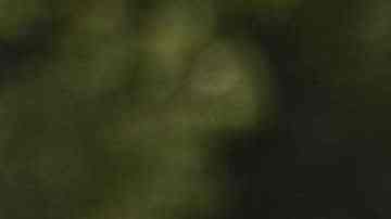 Go-Karts eléctricos construidos y conducidos por mujeres jóvenes de Chicago compiten en el EV Rally de ComEd. (Cortesía ComEd)