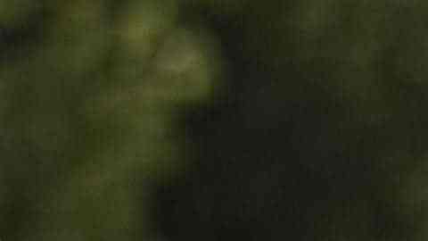 Go-Karts eléctricos construidos y conducidos por mujeres jóvenes de Chicago compiten en el EV Rally de ComEd. (Cortesía ComEd)