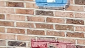 Trabajadores de los restaurantes Portillo's se manifestaron frente a la sucursal de esa cadena en River North en Chicago. (Cortesía Arise Chicago)