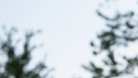 El Gran Festival Colombiano 2022 en Humboldt Park. Foto extraída de Facebook Gran Festival Colombiano de Chicago