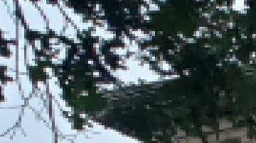 El Departamento de Bomberos de Chicago investiga la causa del incendio ocurrido en un apartamento ubicado en el 2112 N. Marmora Ave., en el barrio de Belmont Cragin. Foto Chicago Fire Media