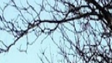 Buscan convertir el Diplomat Motel en Lincoln Square en vivienda para personas sin hogar.