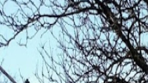 Buscan convertir el Diplomat Motel en Lincoln Square en vivienda para personas sin hogar.