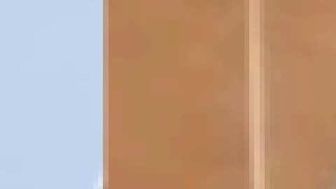 Marco Núñez, de 64 años, fue visto por última vez en Warren Park de Chicago. Foto captura WGN