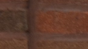 Algunos de los migrantes venezolanos que serán albergados en Broadway Armory Park, en Edgewater. (Belhú Sanabria / La Raza)